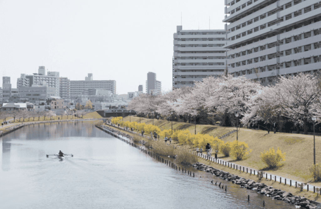 🌳 니시가하라 모두의 공원(니시가하라 민나노 코엔) 이미지 12